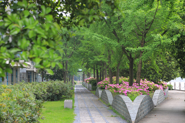 白蕩河綠地