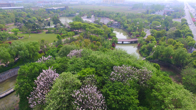 鳳凰公園