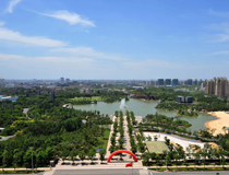 青楓公園